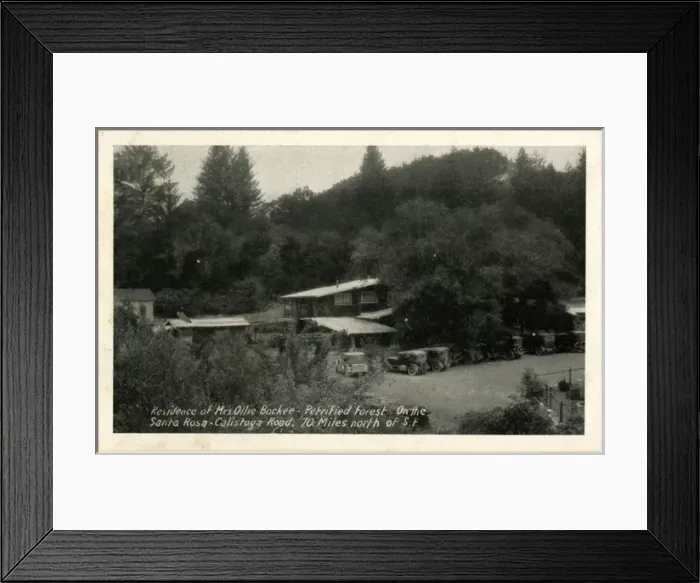 Framed Print : Bockee Residence - Petrified Forest - Santa Rosa, California Framed Print : Bockee Residence - Petrified Forest - Santa Rosa, California