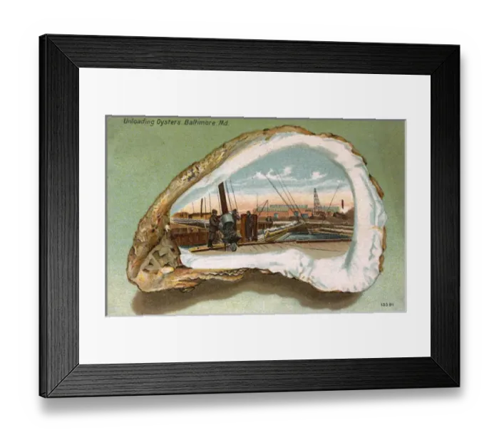 Framed Print : Baltimore, Maryland, USA - Unloading Oysters Framed Print : Baltimore, Maryland, USA - Unloading Oysters