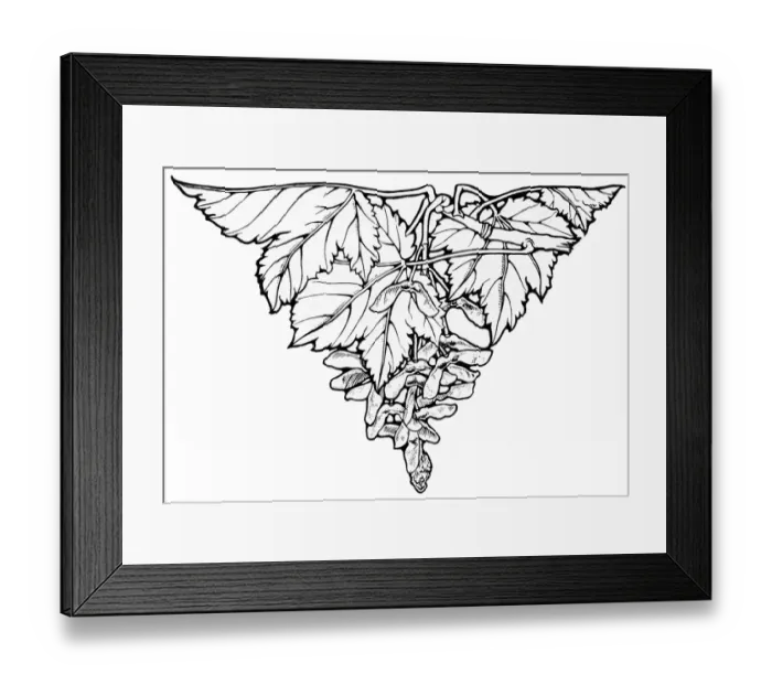 Framed Print : Decorative tailpiece Framed Print : Decorative tailpiece