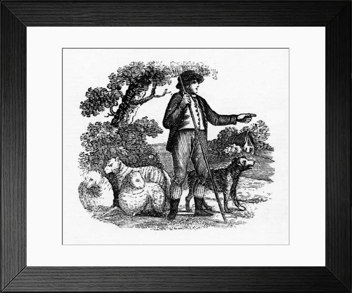 Framed Print : Shepherd & his sheep Framed Print : Shepherd & his sheep