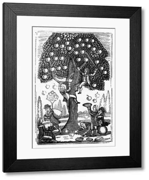 Framed Print : Boys in an apple trees Framed Print : Boys in an apple trees