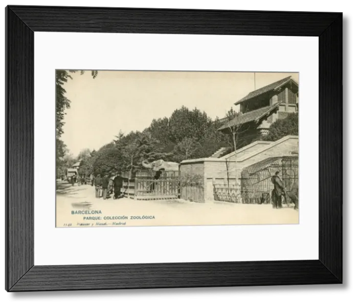 Framed Print : Zoological Park, Barcelona, Spain Framed Print : Zoological Park, Barcelona, Spain