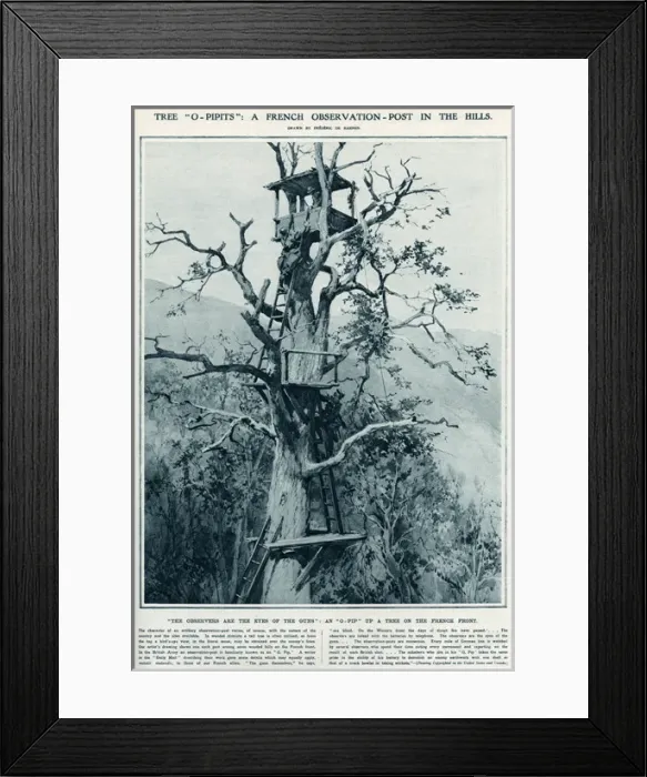 Framed Print : O- Pip A French observation post in a tree Framed Print : O- Pip A French observation post in a tree