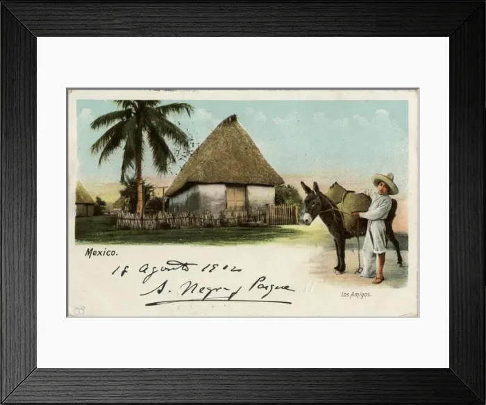 Framed Print : Mexico - Indigenous Village Scene - Young boy and his donkey Framed Print : Mexico - Indigenous Village Scene - Young boy and his donkey