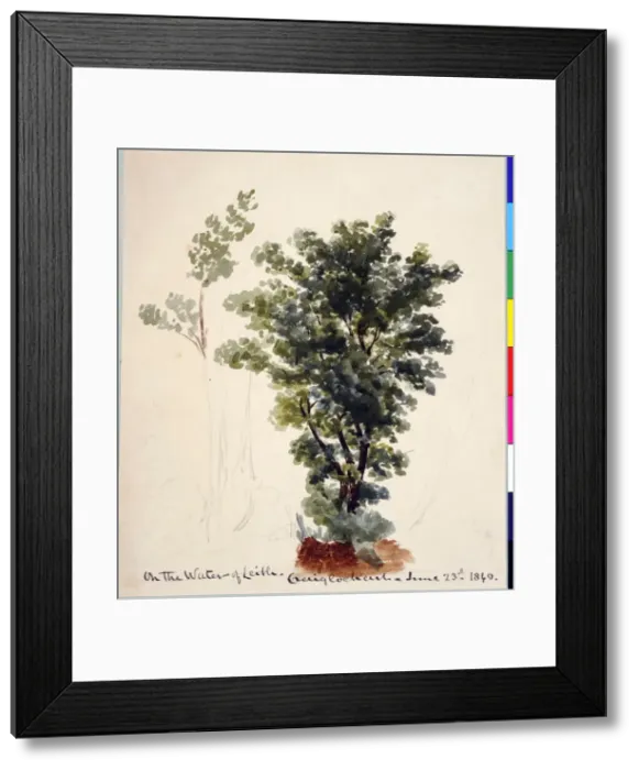 Framed Print : On the Water of Leith, Craiglockart Framed Print : On the Water of Leith, Craiglockart