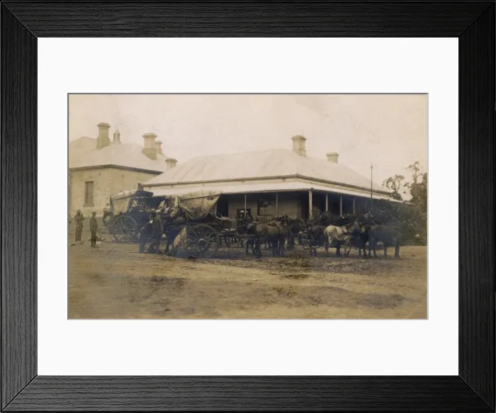 Framed Print : Mule-drawn delivery carts outside post office, South Africa Framed Print : Mule-drawn delivery carts outside post office, South Africa