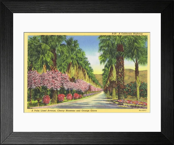 Framed Print : Californian highway with cherry blossoms and orange groves