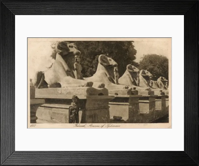 Framed Print : Luxor, Karnak, Egypt - Avenue of the ram-headed Sphinxes Framed Print : Luxor, Karnak, Egypt - Avenue of the ram-headed Sphinxes