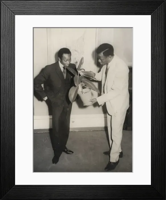 Framed Print : Two African men with a rubber plant in Nottingham Framed Print : Two African men with a rubber plant in Nottingham