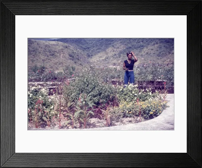 Framed Print : British Caribbean woman in the government farm in Salalah Om Framed Print : British Caribbean woman in the government farm in Salalah Om