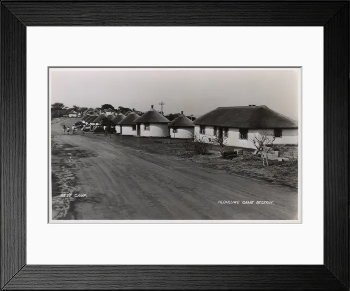 Framed Print : Hluhluwe Game Reserve, Natal Province, South Africa Framed Print : Hluhluwe Game Reserve, Natal Province, South Africa