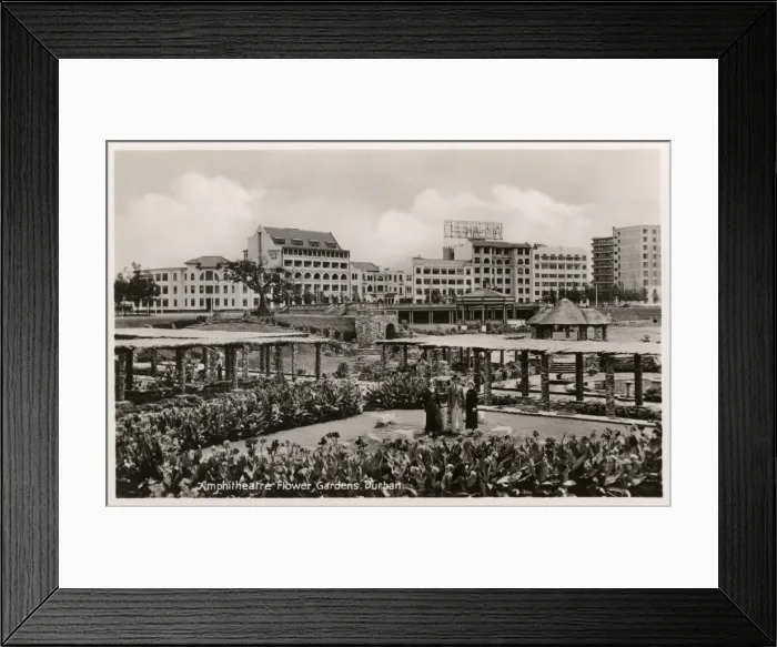 Framed Print : Flower Gardens, Durban, Natal Province, South Africa Framed Print : Flower Gardens, Durban, Natal Province, South Africa