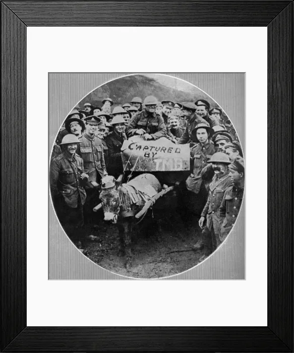 Framed Print : Donkey wearing a pickelhaube, 1917 Framed Print : Donkey wearing a pickelhaube, 1917