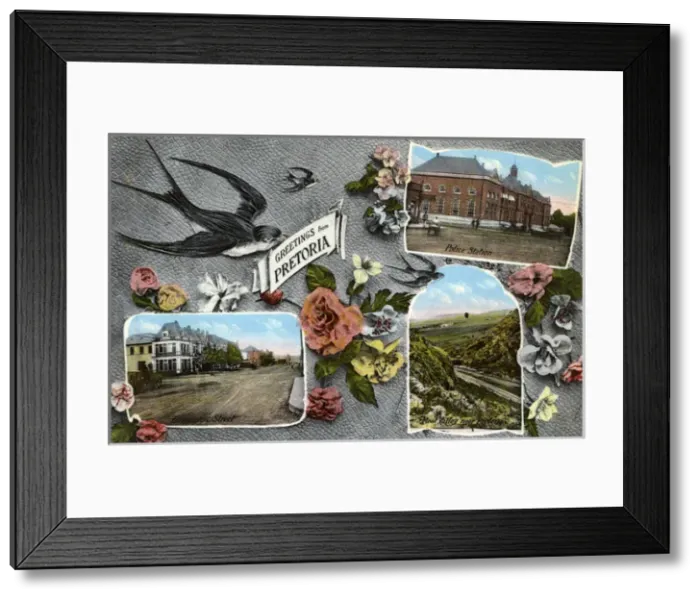 Framed Print : Greetings from Pretoria, Transvaal, South Africa Framed Print : Greetings from Pretoria, Transvaal, South Africa