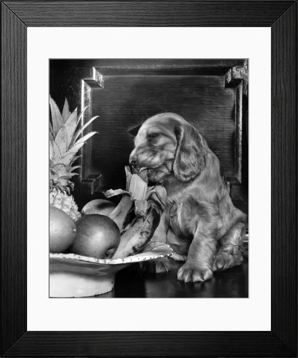 Framed Print : Susi - with bowl of fruit Framed Print : Susi - with bowl of fruit
