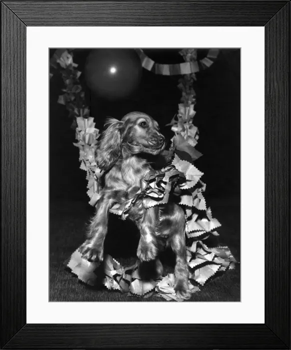 Framed Print : Susi - with Christmas garlands Framed Print : Susi - with Christmas garlands