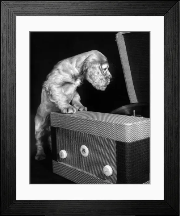 Framed Print : Susi - with record player Framed Print : Susi - with record player