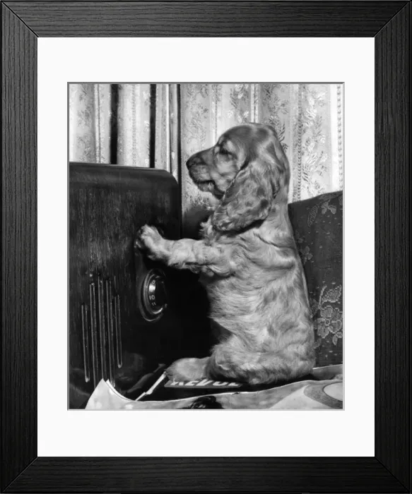 Framed Print : Susi - with old radio Framed Print : Susi - with old radio
