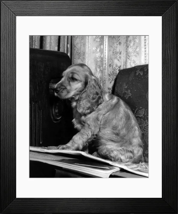 Framed Print : Susi - with old radio Framed Print : Susi - with old radio