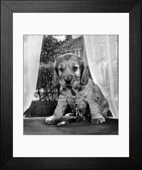 Framed Print : Susi - sitting by the window Framed Print : Susi - sitting by the window