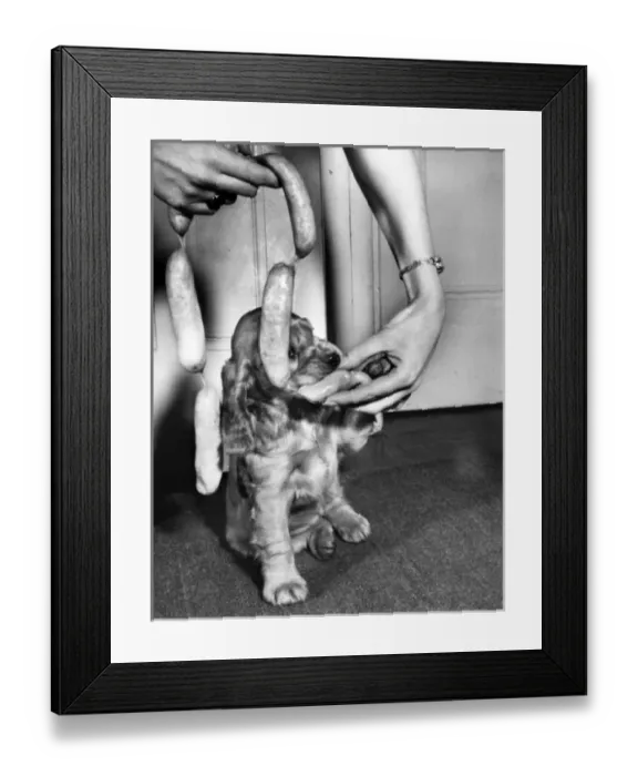 Framed Print : Susi - with string of sausages Framed Print : Susi - with string of sausages