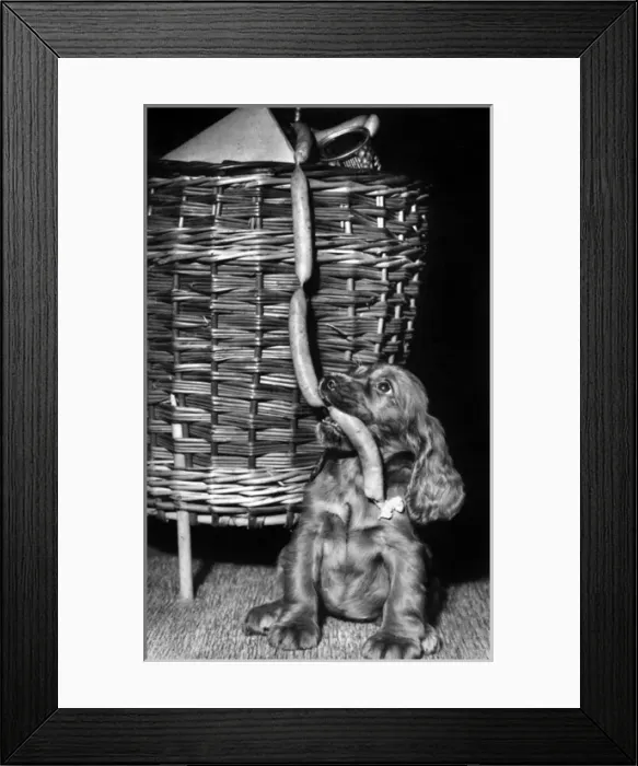Framed Print : Susi - with shopping basket Framed Print : Susi - with shopping basket