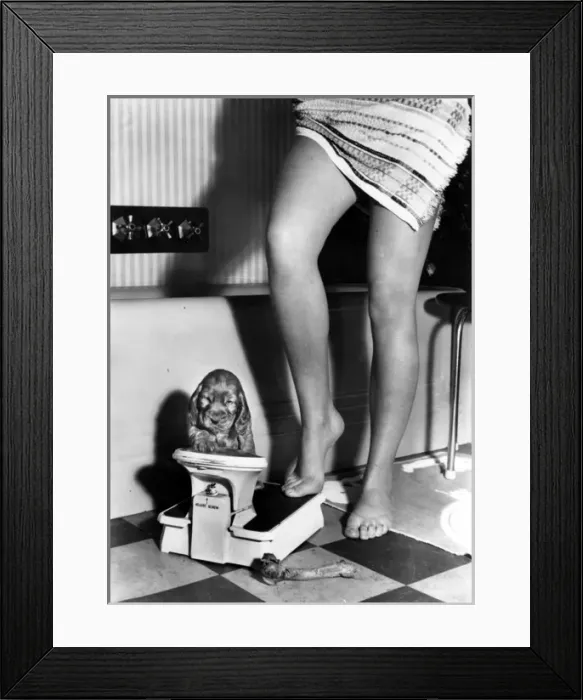 Framed Print : Susi - with bathroom scales and Mum