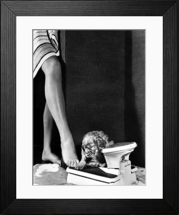 Framed Print : Susi - with bathroom scales and Mum Framed Print : Susi - with bathroom scales and Mum
