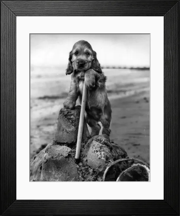 Framed Print : Susi - building a sandcastle Framed Print : Susi - building a sandcastle