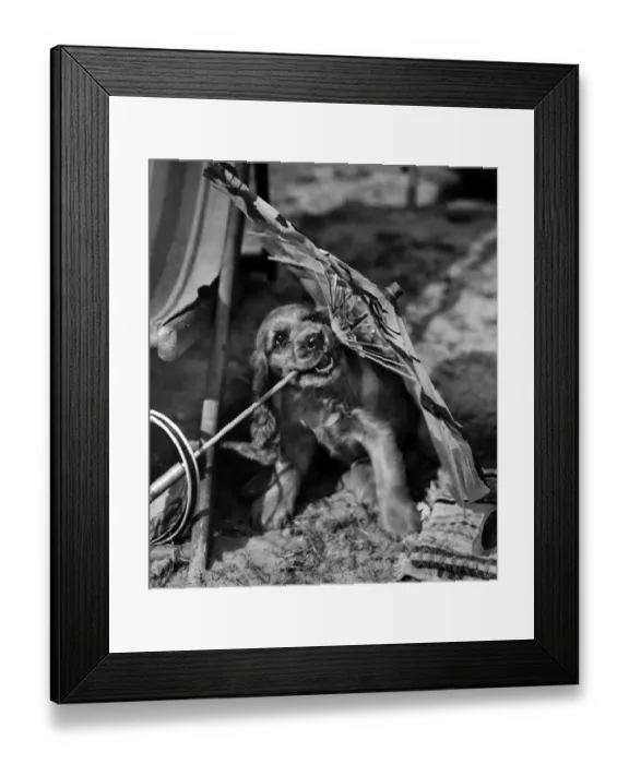 Framed Print : Susi - with a parasol on the beach Framed Print : Susi - with a parasol on the beach