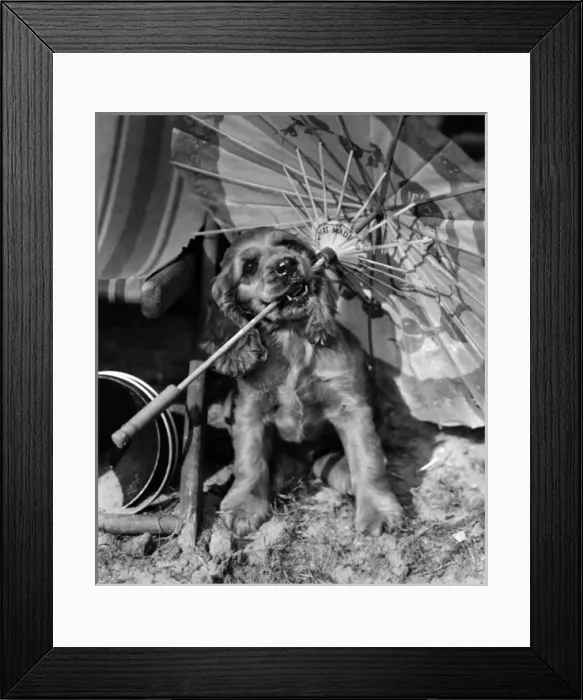 Framed Print : Susi - with a parasol on the beach Framed Print : Susi - with a parasol on the beach