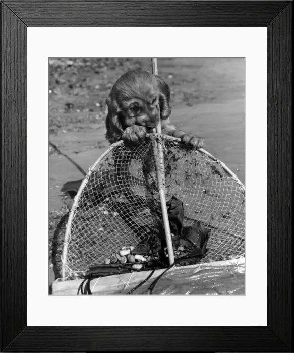 Framed Print : Susi - with fishing net Framed Print : Susi - with fishing net
