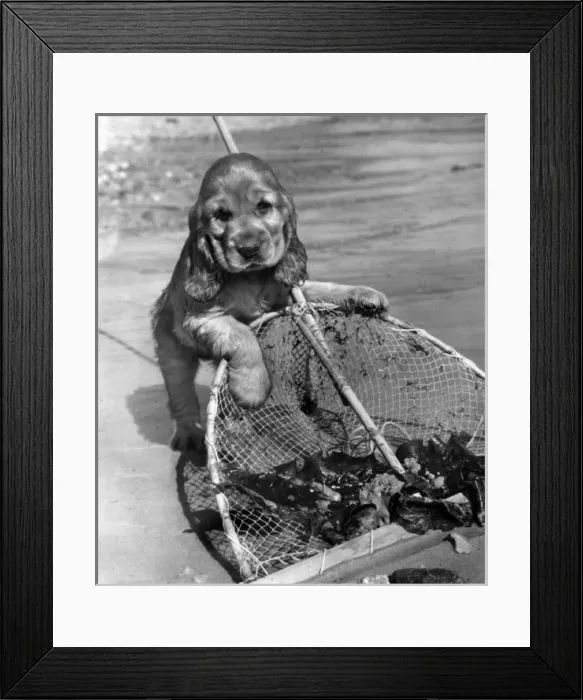 Framed Print : Susi - with fishing net Framed Print : Susi - with fishing net