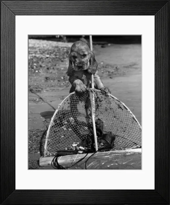 Framed Print : Susi - with fishing net Framed Print : Susi - with fishing net
