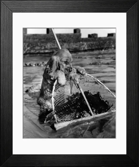 Framed Print : Susi - with fishing net Framed Print : Susi - with fishing net