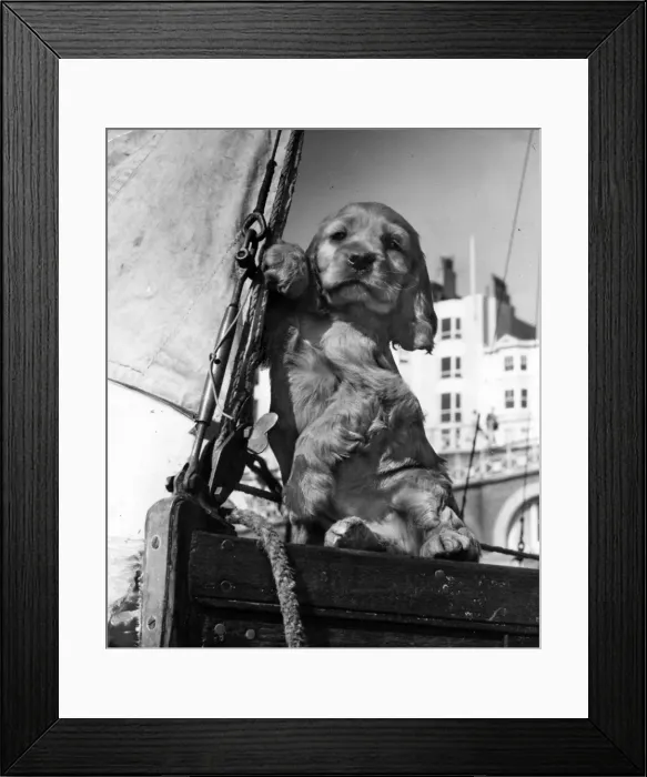 Framed Print : Susi - on a sailing boat Framed Print : Susi - on a sailing boat