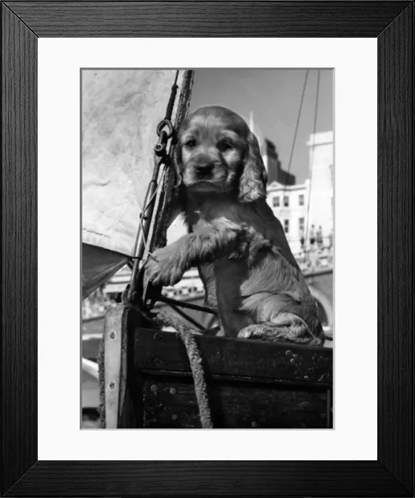 Framed Print : Susi - on a sailing boat Framed Print : Susi - on a sailing boat