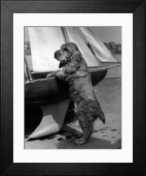 Framed Print : Susi - with sailing boat on beach Framed Print : Susi - with sailing boat on beach