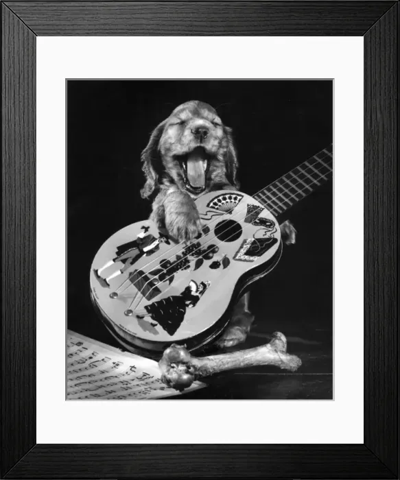 Framed Print : Susi - with guitar and bone Framed Print : Susi - with guitar and bone