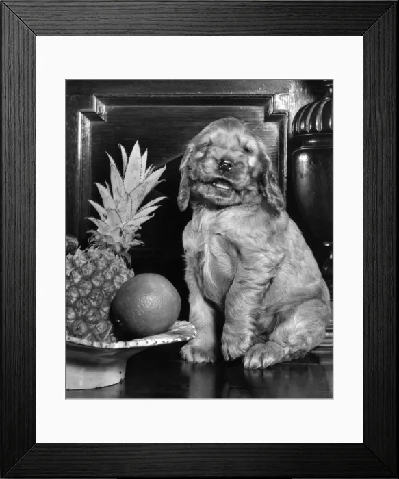 Framed Print : Susi - with bowl of fruit