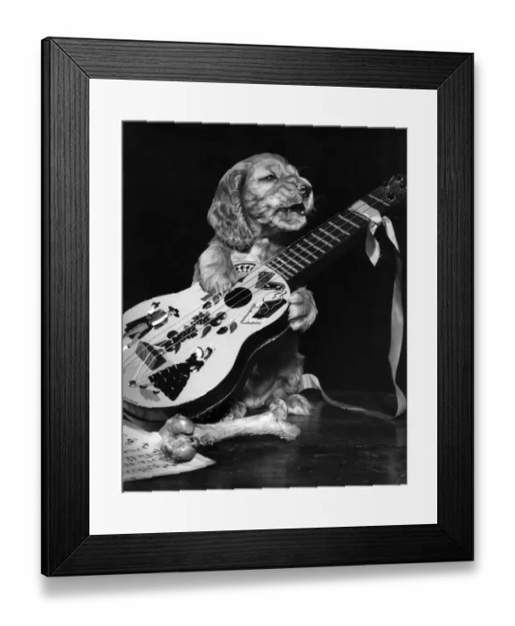Framed Print : Susi - with guitar and bone Framed Print : Susi - with guitar and bone