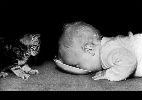 Baby and Kitten