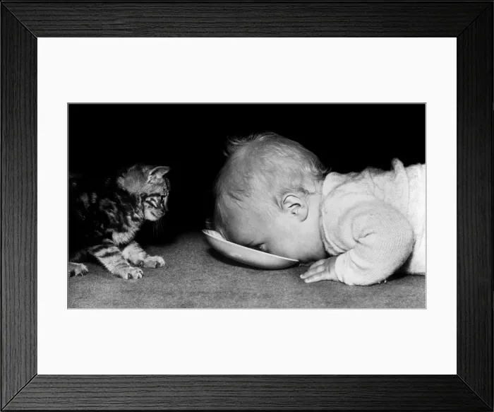 Framed Print : Baby and Kitten Framed Print : Baby and Kitten