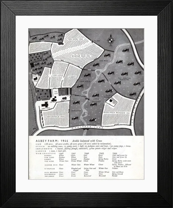 Framed Print : Farming pre-war in 1944 - layout of fields and crops (2 / 2) Framed Print : Farming pre-war in 1944 - layout of fields and crops (2 / 2)