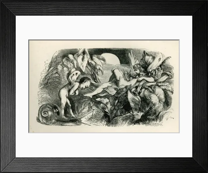 Framed Print : A Midsummer Nights Dream