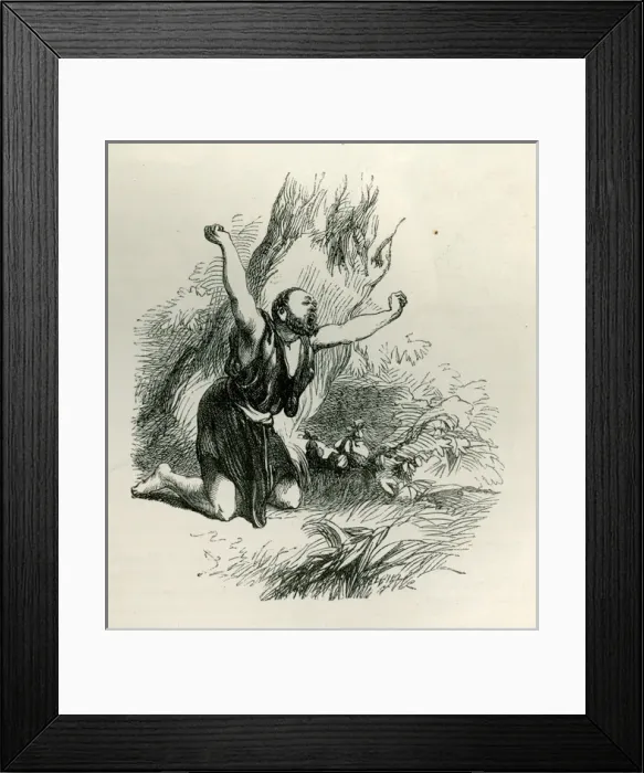 Framed Print : A Midsummer Nights Dream Framed Print : A Midsummer Nights Dream