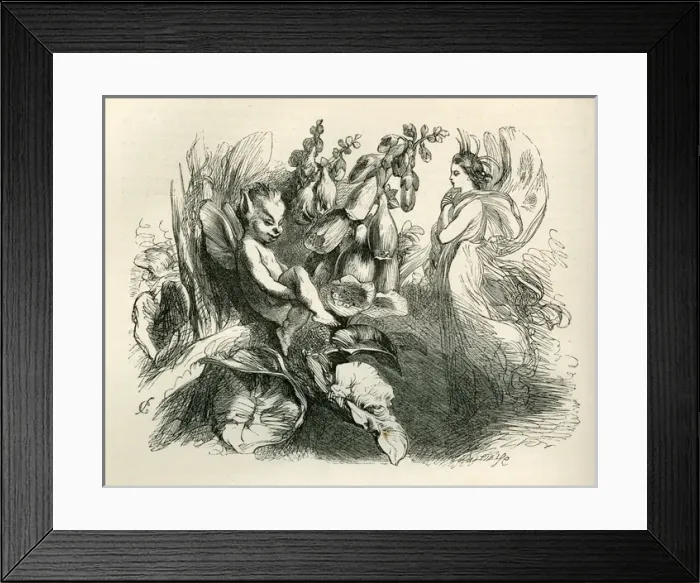 Framed Print : A Midsummer Nights Dream Framed Print : A Midsummer Nights Dream