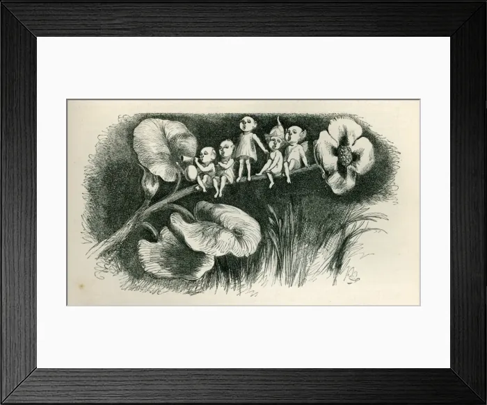 Framed Print : A Midsummer Nights Dream Framed Print : A Midsummer Nights Dream