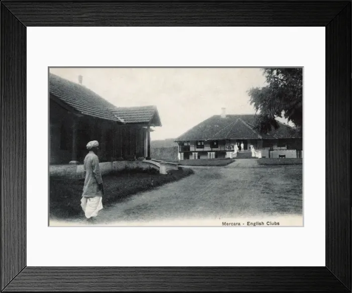 Framed Print : English Clubs, Mercara (Madikeri) Karnataka, India Framed Print : English Clubs, Mercara (Madikeri) Karnataka, India