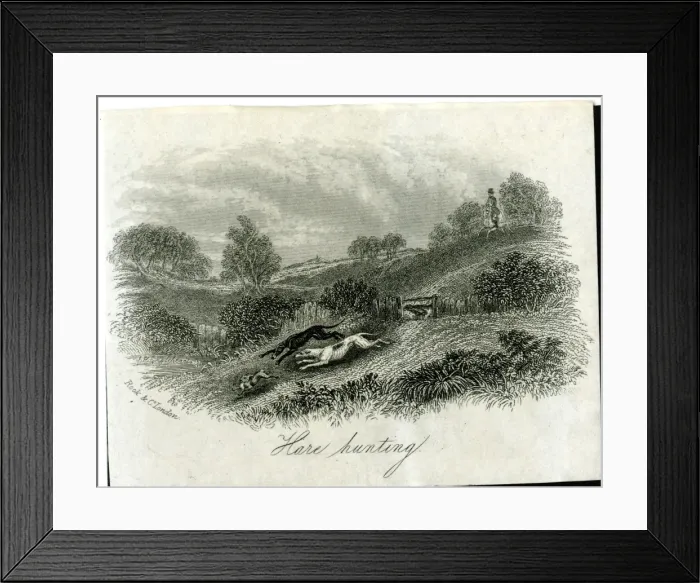 Framed Print : Hare Hunting Framed Print : Hare Hunting